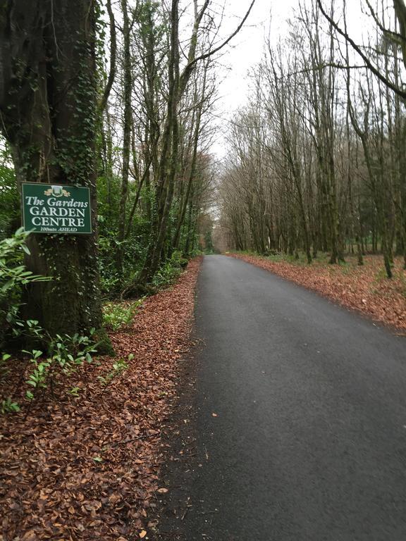 Carrick on Shannon Leitrim Inn المظهر الخارجي الصورة